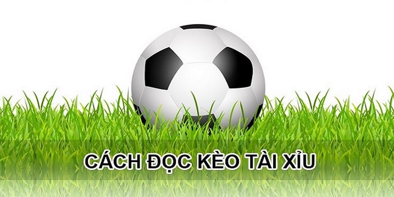 Giới thiệu tổng quan về tài xỉu 3 trái tại MG188