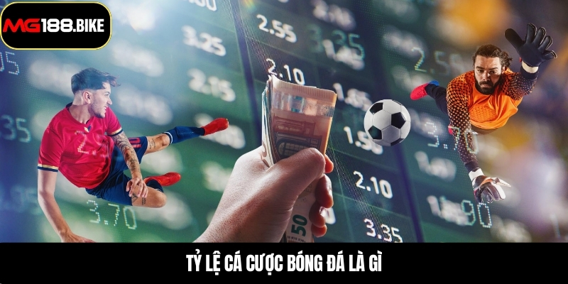 Tỷ lệ cá cược bóng đá là gì